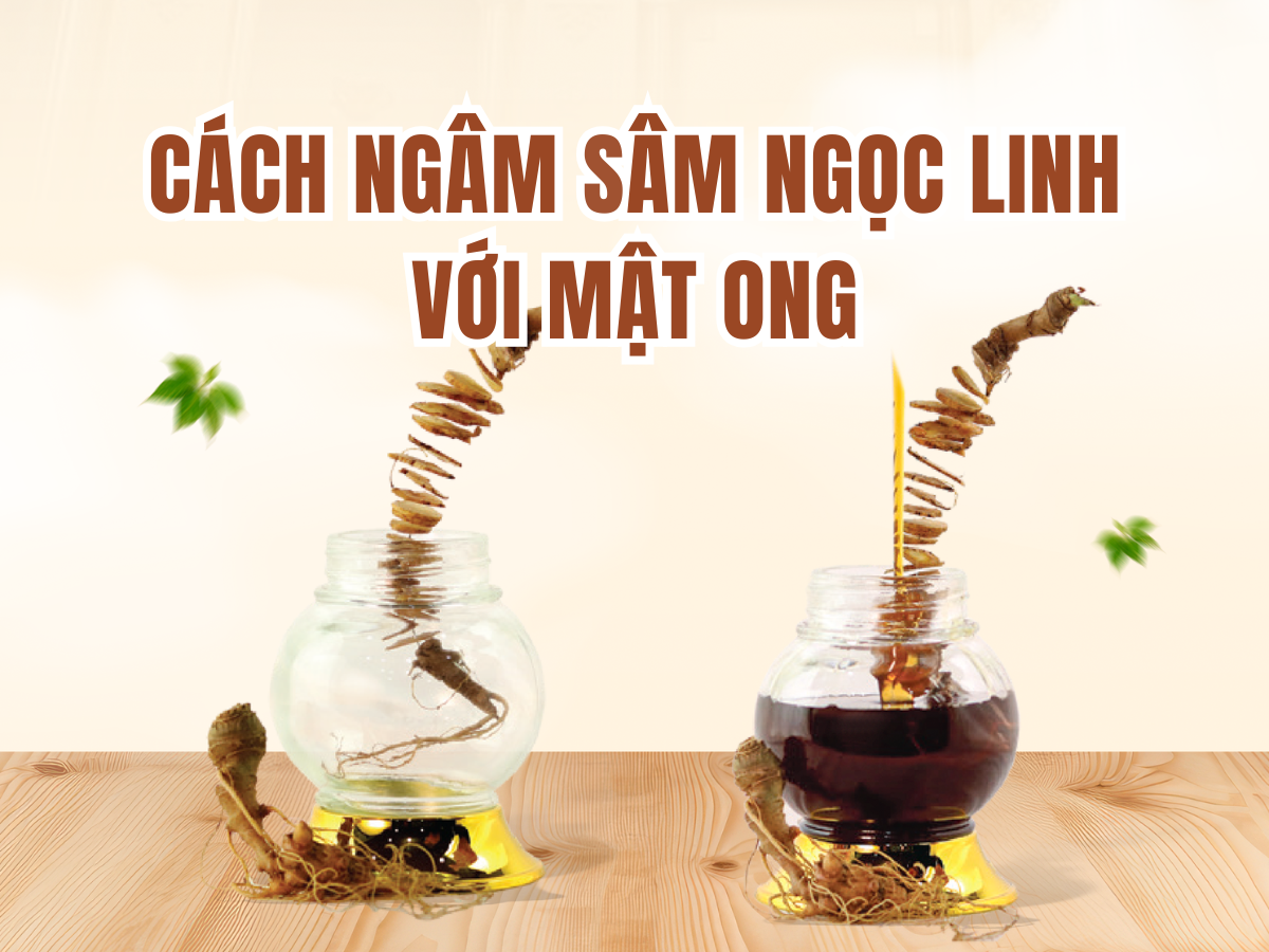 1kg s&acirc;m Ngọc Linh ng&acirc;m bao nhi&ecirc;u l&iacute;t mật ong